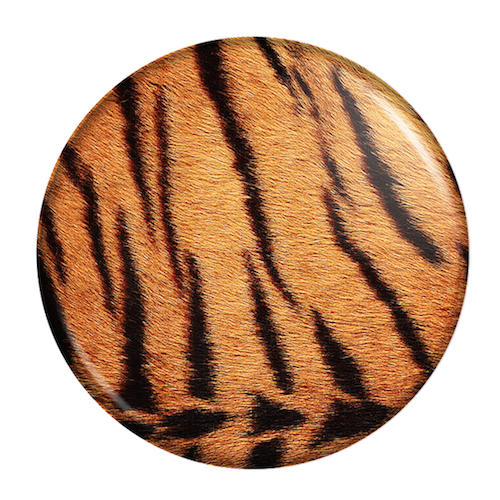 Набор магнитов "Africa-Brazil"